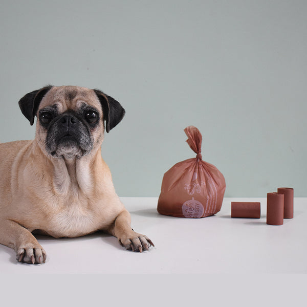Bolsitas para Heces de Mascota
